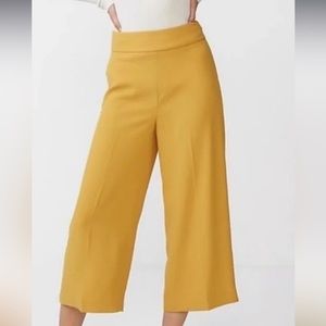 Express Cropped Culotte Pants